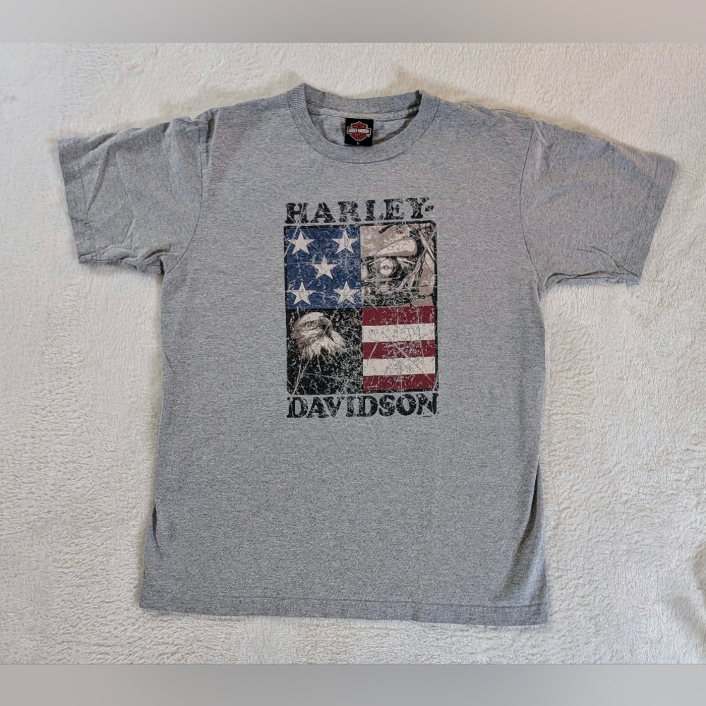 Harley Davidson - 2006 Graphic Tshirt - Frontier - Lincoln Nebraska -Gray-Mens L